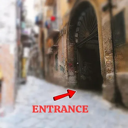 Domus Carbonari - Ampio Appartamento Con Terrazza Nel Centro Storico Di Napoli *